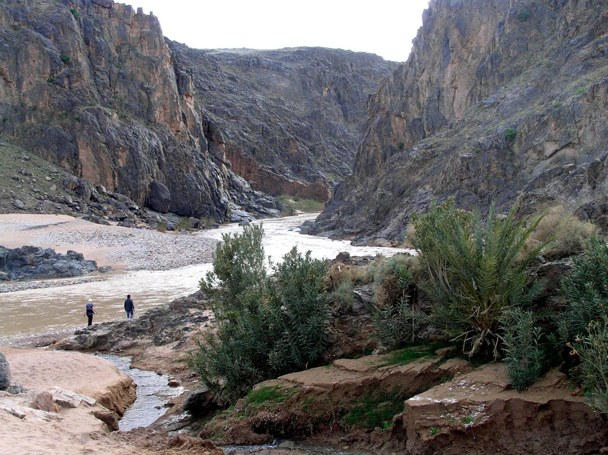 הוסטל סקורה Kasbah Dar Bahnini מראה חיצוני תמונה